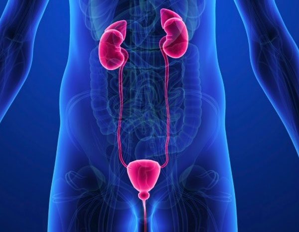 Andrology Treatment