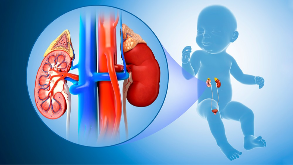 Paediatric Urology Services